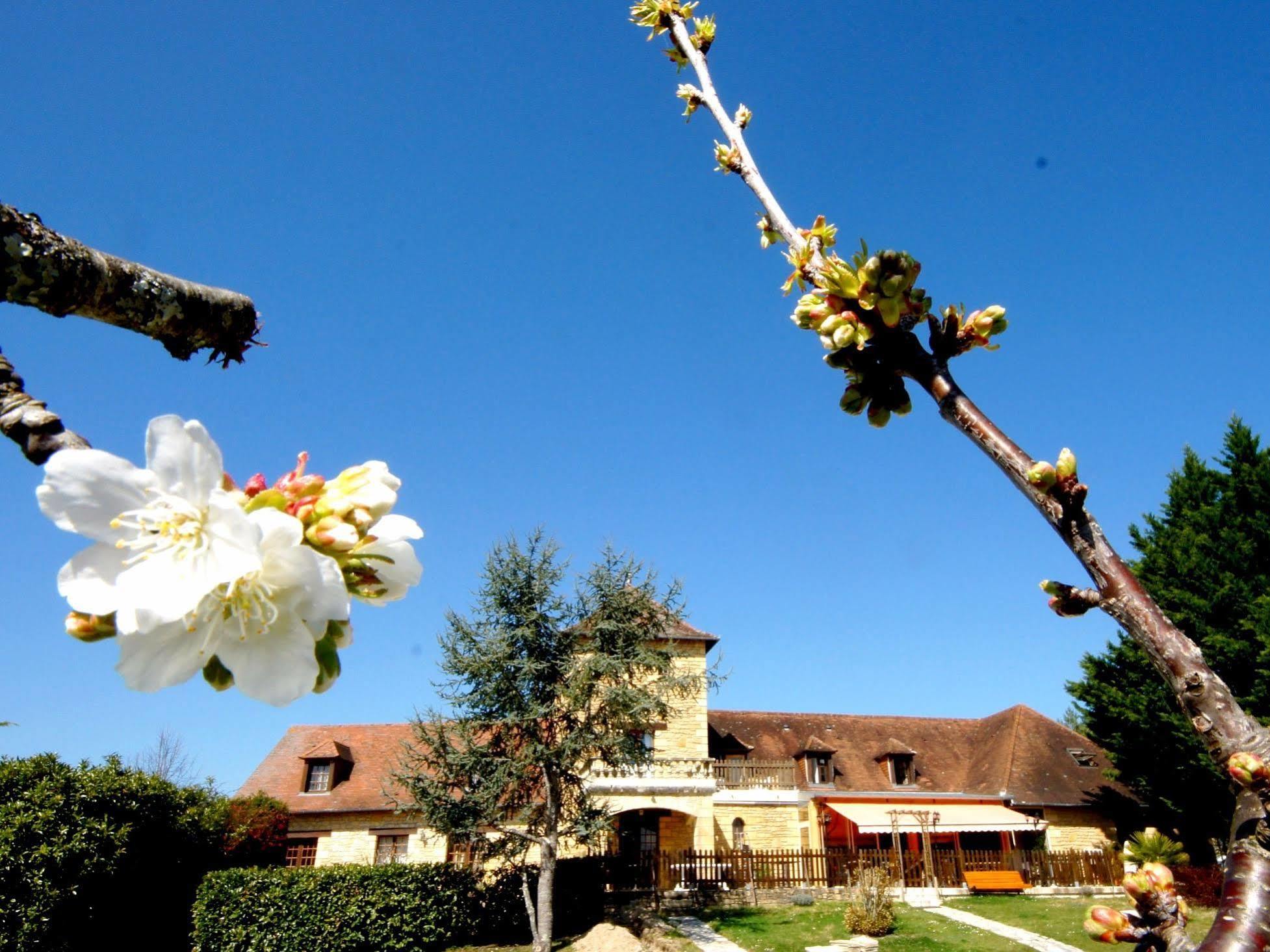 Logis Hotel-restaurant Les Collines 59 Route Des Cretes 3* Cublac