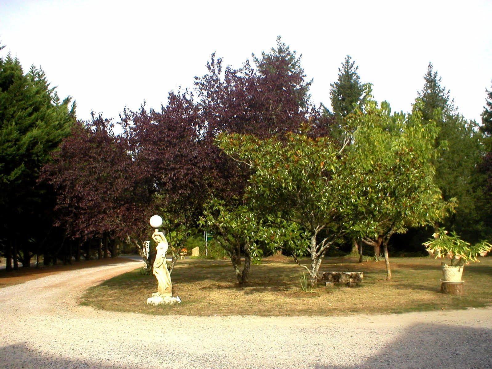 Hotel Logis Hotel-Restaurant Les Collines 59 Route Des Cretes 3*